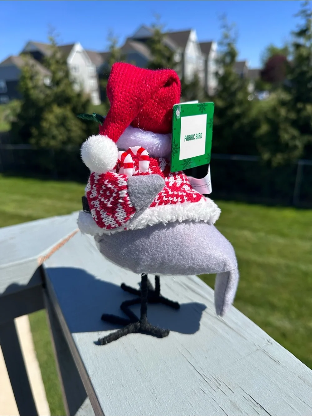 Festive Voice | 